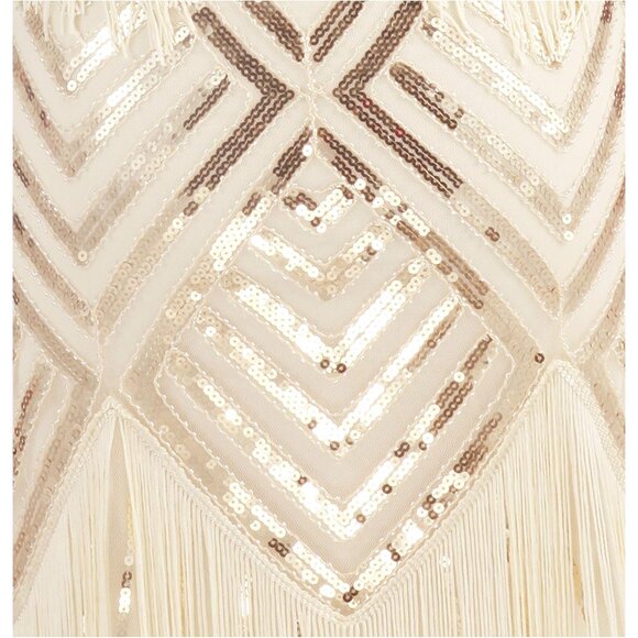 Women's Mini Dress Polyester V Neck Spaghetti Strap Gatsby 1920s - Picture 5 of 5